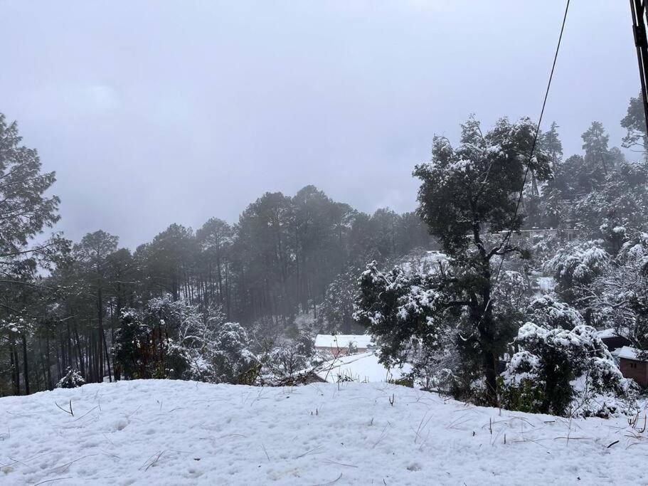 Himalayan View Villa 3 Bhk Shitlakhet 外观 照片
